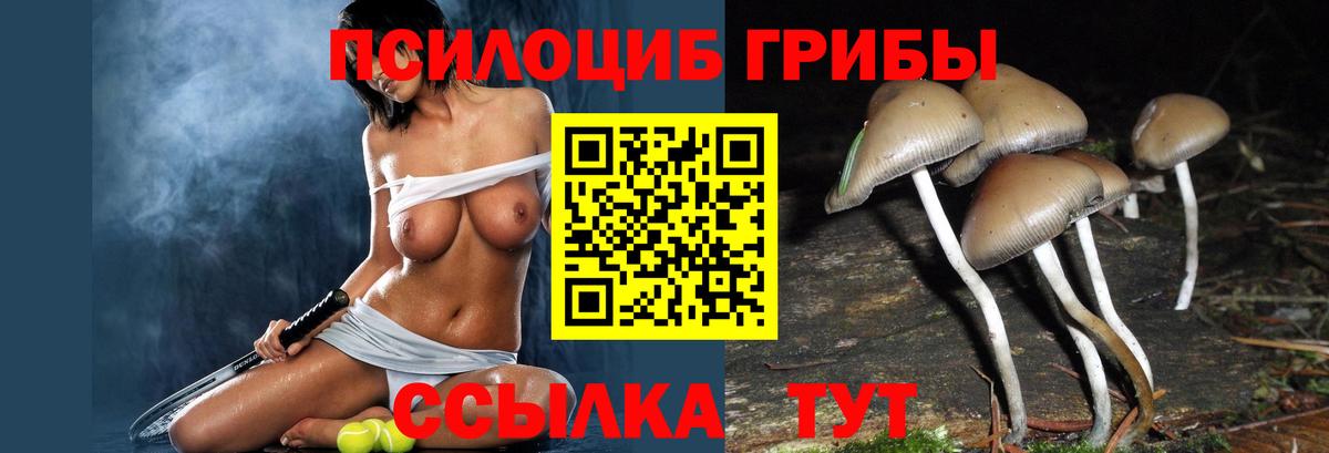 Морозовск  Галлюциногенные грибы Psilocybe  Вход с VPN  Псилоцибиновые грибы GOLDEN TEACHER 